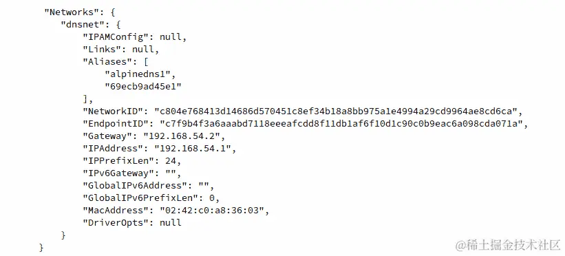 图：6.10：alpinedns1 容器实例的网络部分输出