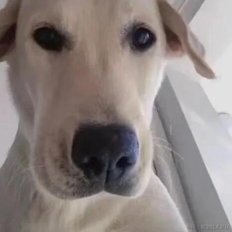 遐想于2022-07-21 09:35发布的图片