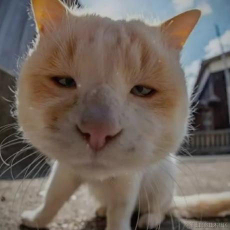 _韭_菜_炒_鸡_蛋于2022-07-21 10:42发布的图片