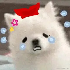 奇迹是九色的于2022-11-10 10:47发布的图片