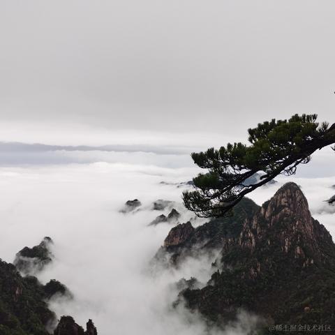 Spirited_Away于2023-04-06 15:38发布的图片
