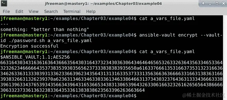 图 3.8 - 使用 Ansible Vault 加密现有变量文件