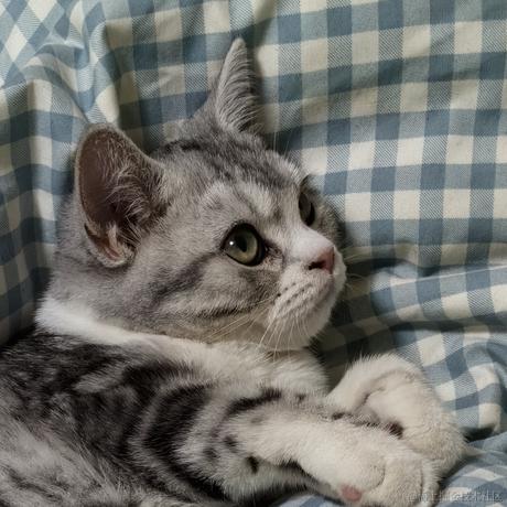 去海上看烟花于2024-03-19 09:29发布的图片