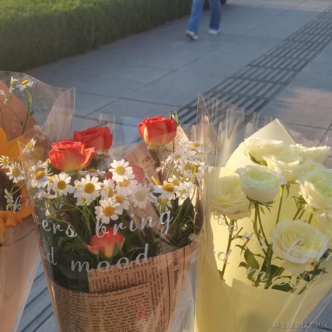 安可可可可于2023-05-16 21:48发布的图片