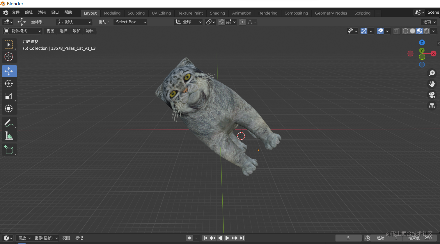 Code cat | absorption use OpenGL rendering image of a cat plan - Moment ...