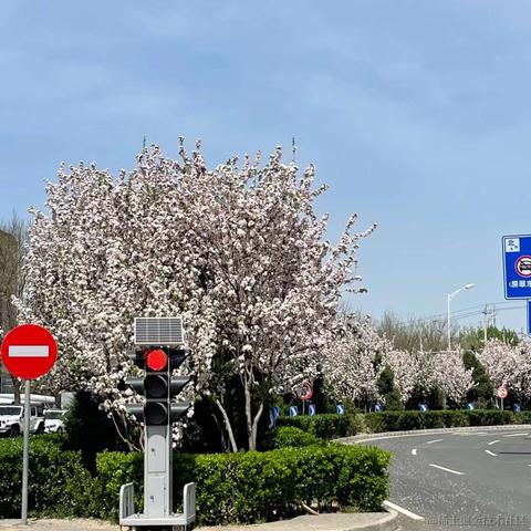 undingable于2022-04-12 15:57发布的图片