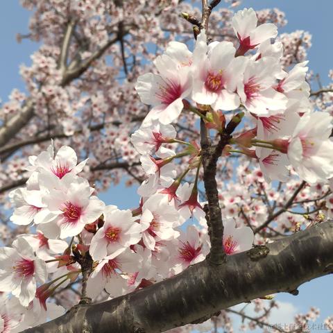 getify于2023-03-12 15:14发布的图片