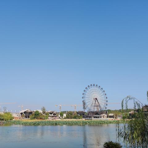 再见孙悟空__于2022-10-15 18:39发布的图片