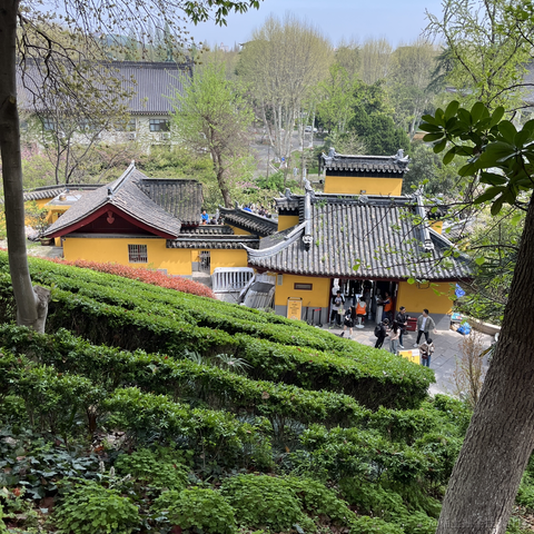 苏州第一深情于2024-04-08 09:03发布的图片