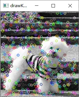 image-20230830103702934