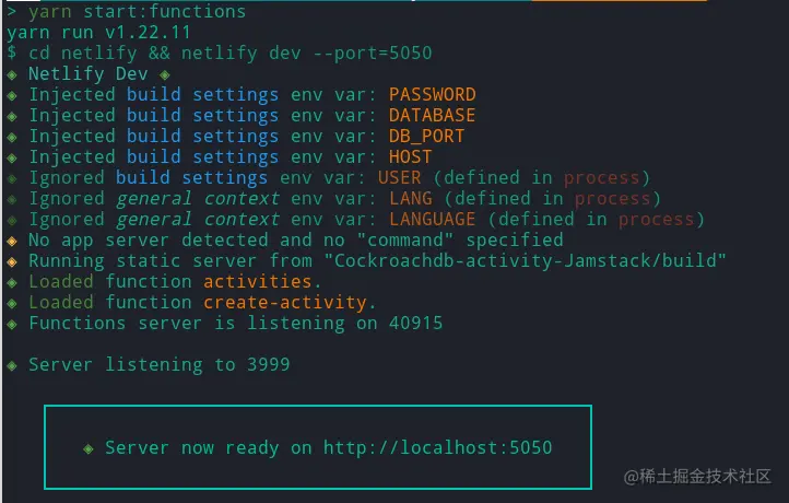 The Netlify dev server