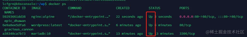 image-20230123204243605