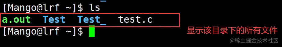 image-20220224203149850