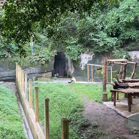 王贝拉唯一指定老婆于2023-06-19 11:32发布的图片