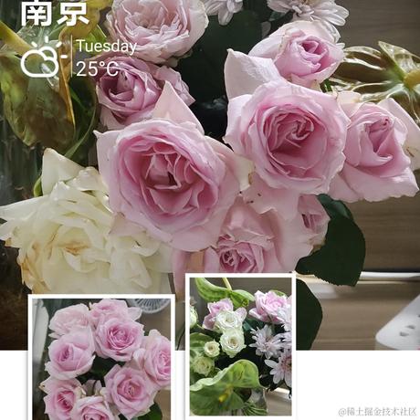 yyc_two于2023-08-29 19:56发布的图片