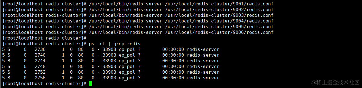redis-server_start