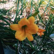 点9的个人资料头像