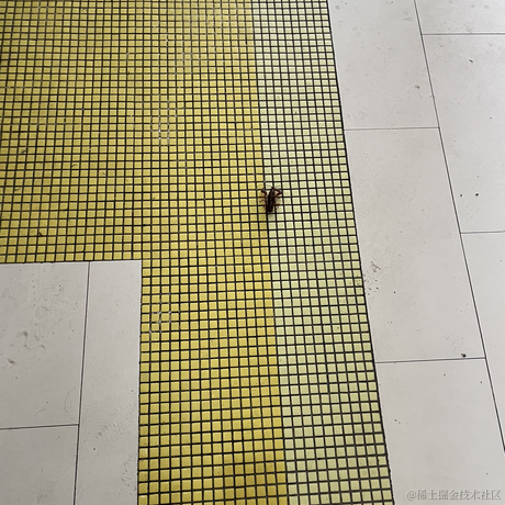 粉色矮水母于2023-07-06 19:11发布的图片