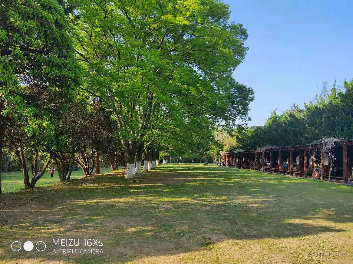 拍摄于南京中山陵午后