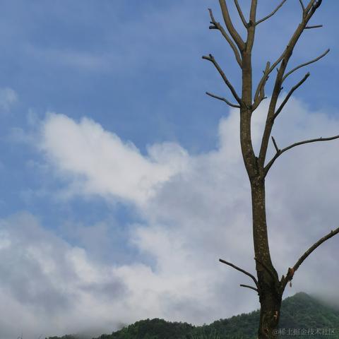 曼策于2023-04-19 12:40发布的图片