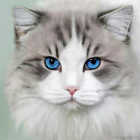 小阿天于2021-10-28 15:37发布的图片