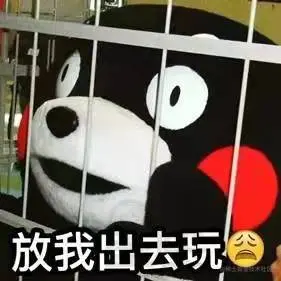 4397978ad8484a3a1ca3af63213a259