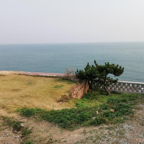 还有头发的萝卜头于2022-10-22 18:57发布的图片