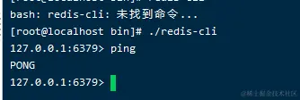 image-20211220204710903