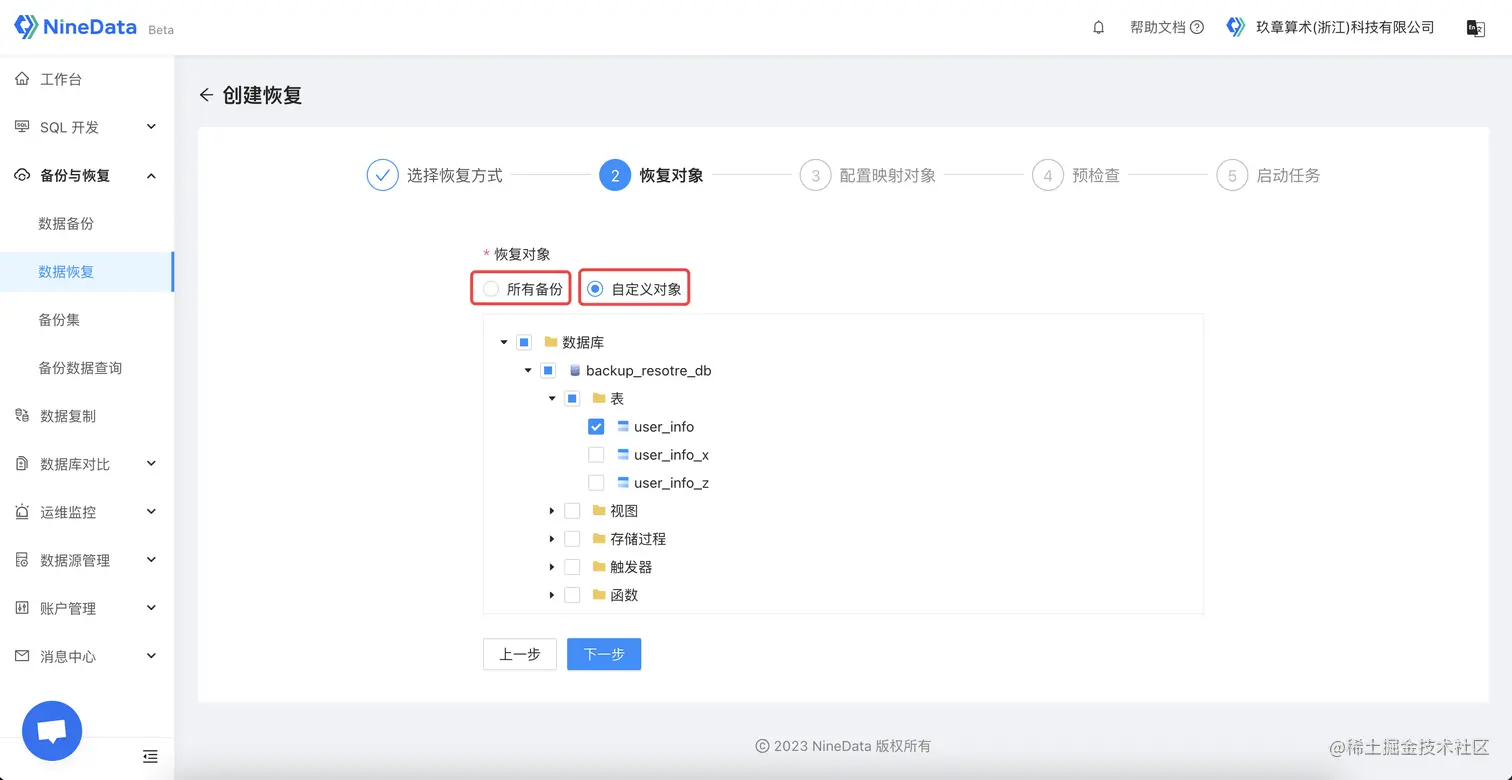 NineData 恢复的对象