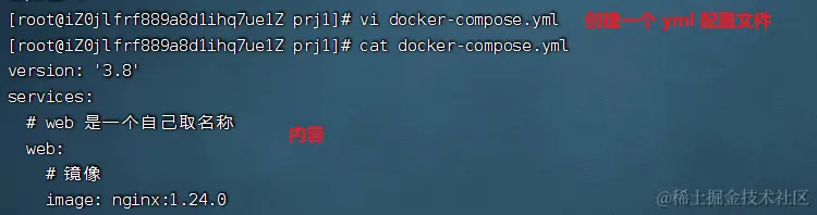 image-20240215214621304