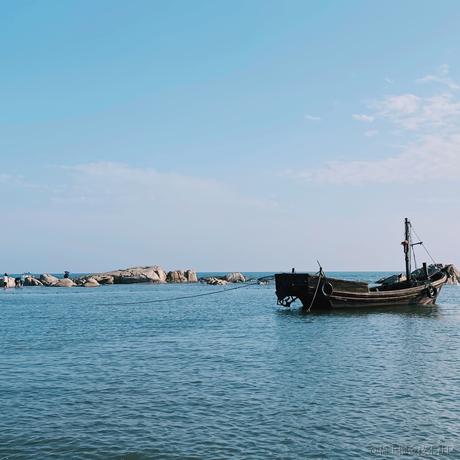 救活一只知更鸟于2020-10-09 20:13发布的图片