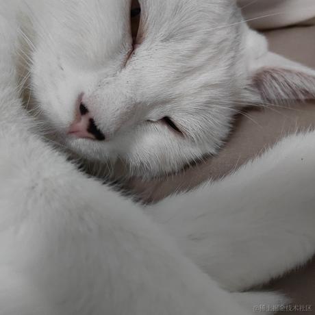 樱缘之梦于2022-11-24 13:21发布的图片