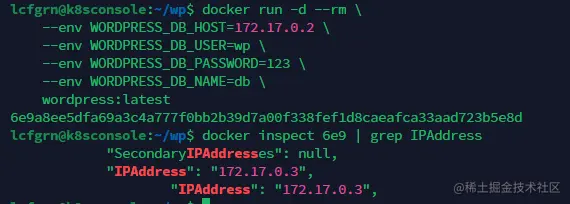 image-20230123203638819