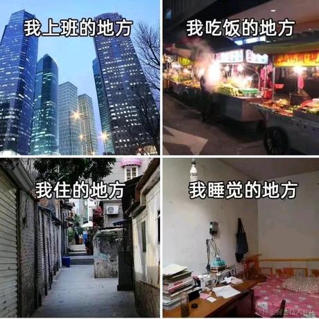 活在沸水的鱼于2021-08-19 09:02发布的图片