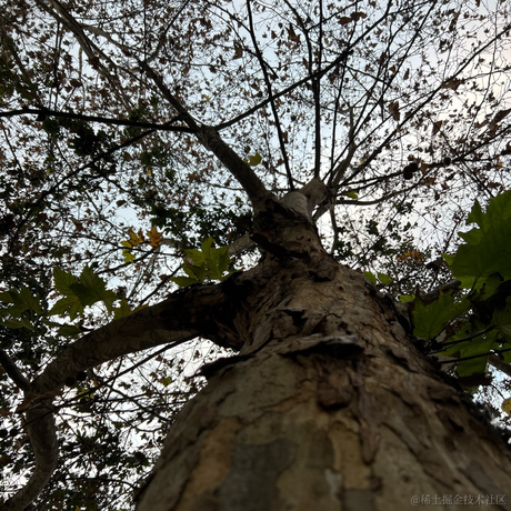 玛卡芭卡于2022-02-28 14:44发布的图片