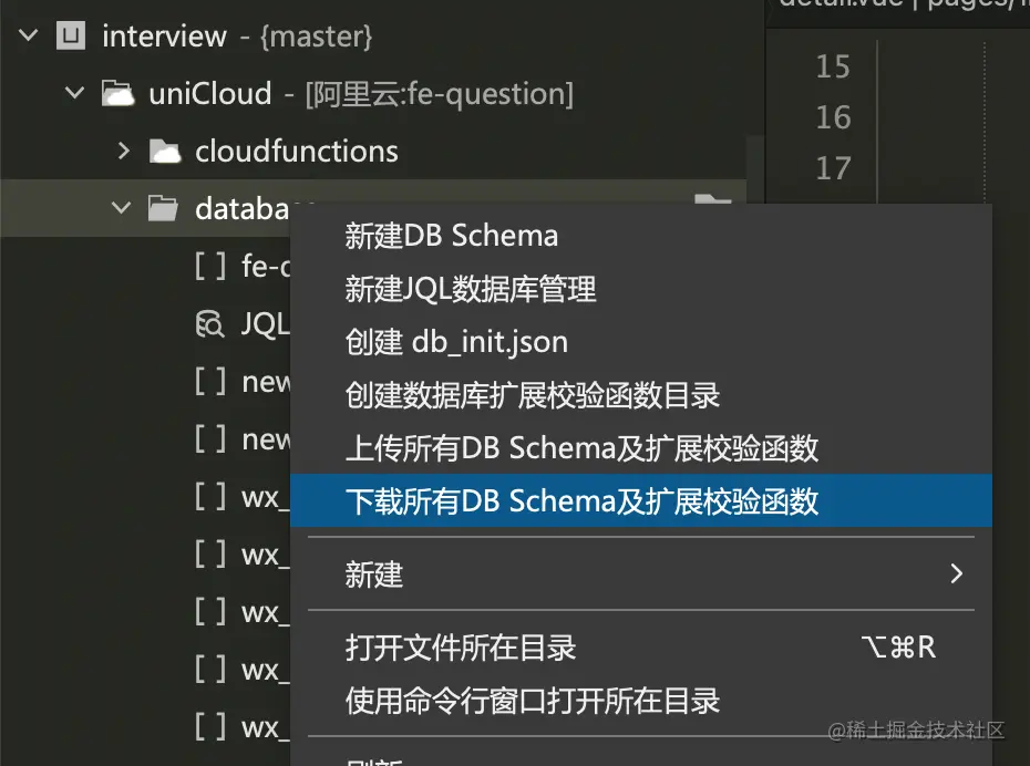 将云端的Schema下载到本地