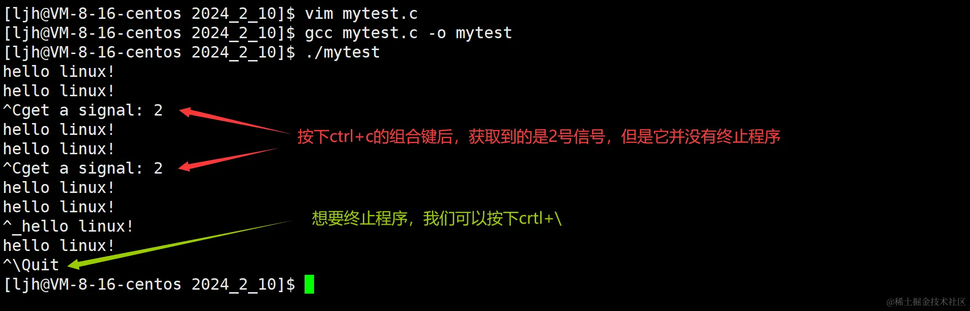 image-20240210234759295