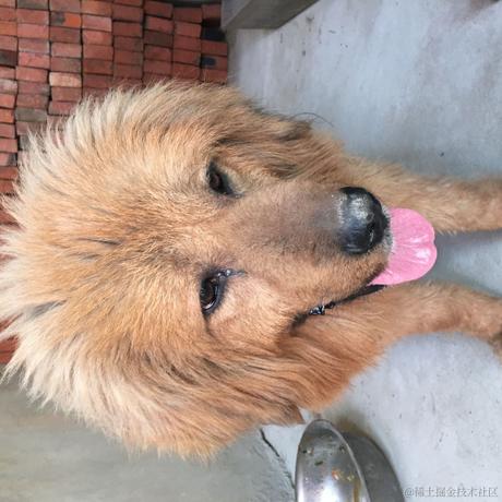 来自艾欧尼亚的最强王者于2021-12-26 17:39发布的图片