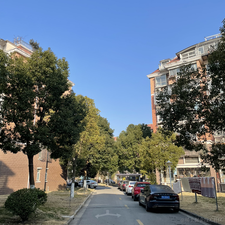 堂吉诃德多弗朗明哥于2022-02-26 08:33发布的图片