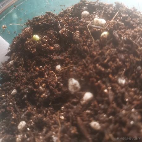 126个倾于2023-06-21 12:19发布的图片