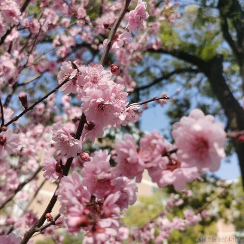 无糖气泡水于2023-03-15 07:53发布的图片