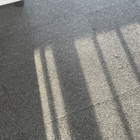 你可别怂啊于2023-10-20 10:59发布的图片