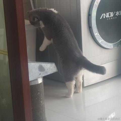 远离那小猫于2022-11-24 19:06发布的图片