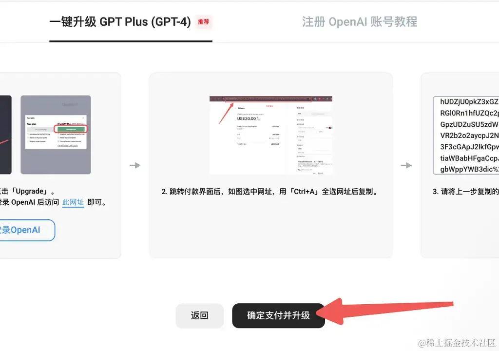 确认支付并升级