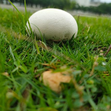 贝拉拉是我的超人于2022-11-13 09:42发布的图片