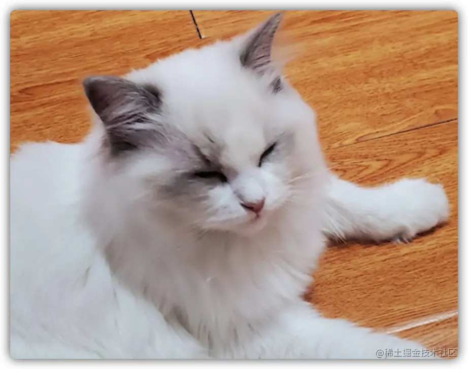 image-20210815170512133