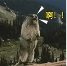 土拨鼠.gif
