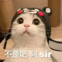 20.png