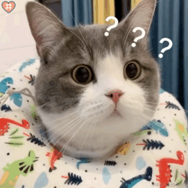 今天吃什么了于2023-06-13 17:31发布的图片