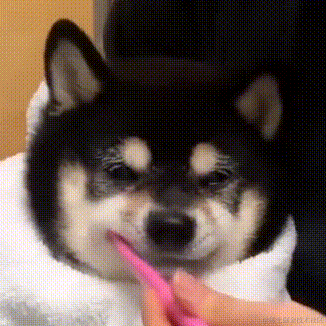 国1v于2022-11-10 15:08发布的图片